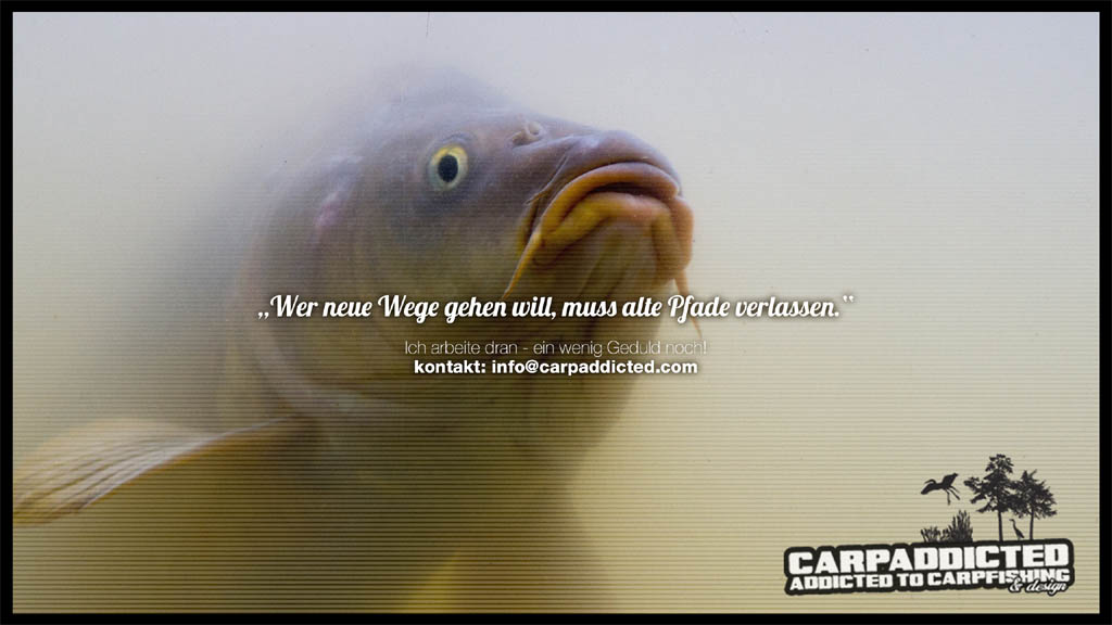 carpaddicted